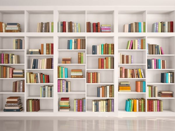 Bookshelf Assembly in Santa Maria